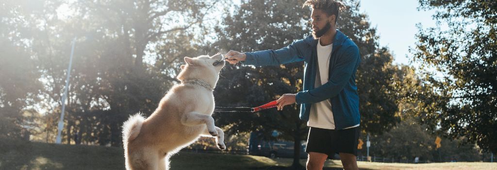 man with dog, jump touch